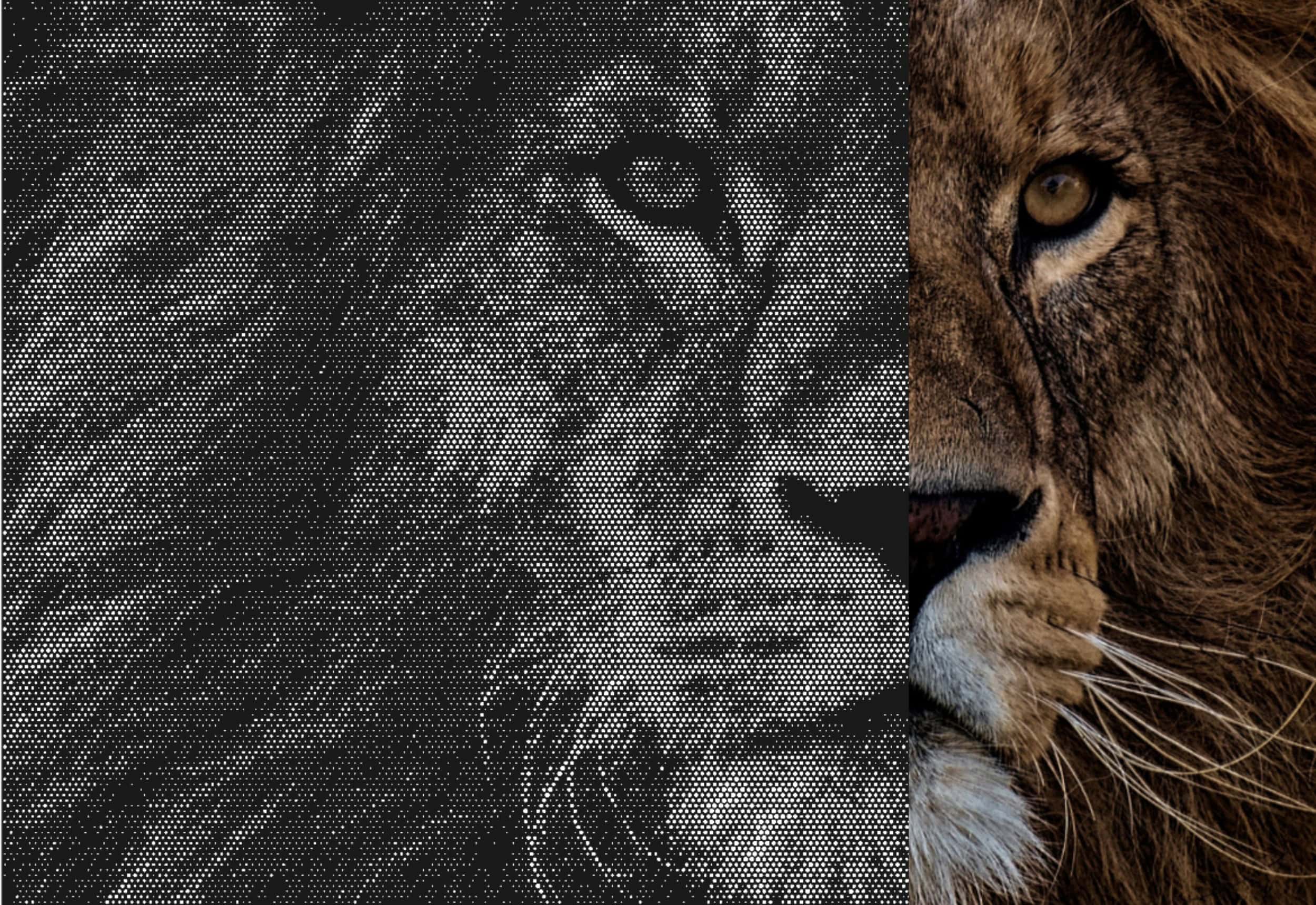 Picture Perf Picture perf and original graphic of lion - Graepels perforated metal